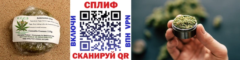 купить наркотики цена  kraken как зайти  Cannafood конопля  Озёры 