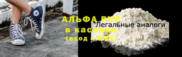 гашик Арсеньев
