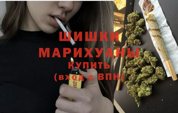 гашик Арсеньев