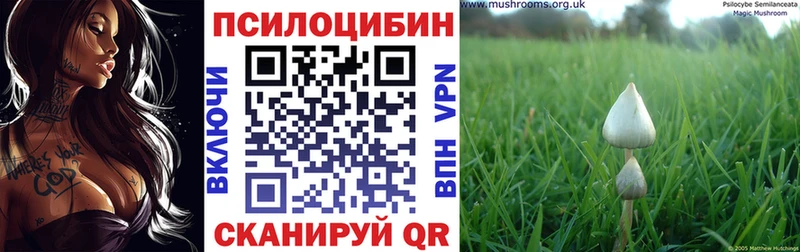 Галлюциногенные грибы Cubensis Озёры
