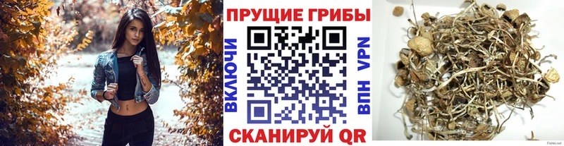 Псилоцибиновые грибы MAGIC MUSHROOMS  Озёры 